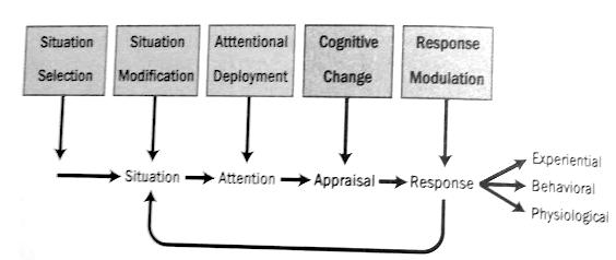 Process model of emotional regualtion showing families of strategies taken from the book The Feeling Brain