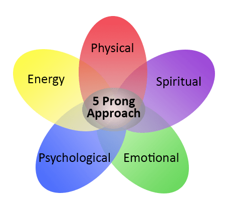 Illustration of Dr. Diane's 5 Prong Approach. Red tab says physical, purple tab says spiritual, green tab says emotional, blue tab says psychological, and yellow tab says energy. Tabs are fanned out in the shape of a flower. At the center of the flower are the words 5 Prong Approach.