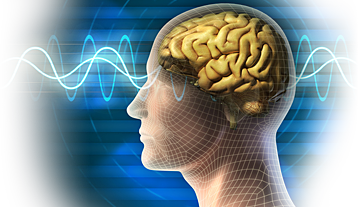 What is Biofeedback?
