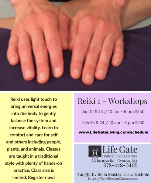 Reiki Workshops