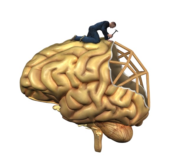 A graphic of a partial brain, with a worker on top doing Brain Rehabilitation.