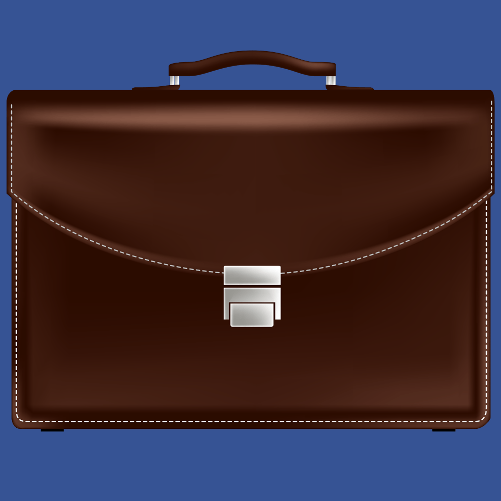 Executive Coaching - Graphic of a Briefcase