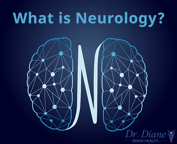 A graphical representation of a brain and the words What Is Neurology?